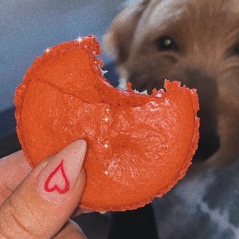 Essence Bakery Cafe - Strawberry macaroon was so amazing even max wanted a bite lol - Breakfast & Brunch Near Me - Phoenix, Arizona Essence Bakery Cafe - Strawberry macaroon was so amazing even max wanted a bite lol - Breakfast & Brunch Near Me - Phoenix, Arizona