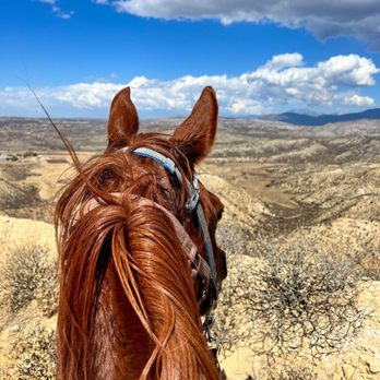 Saddle Up Wine Tours - Horseback Riding Near Me - Aguanga, California Saddle Up Wine Tours - Horseback Riding Near Me - Aguanga, California