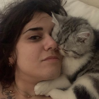 Ikitty Cats - His hugs are the best! - Pet Breeders Near Me Ikitty Cats - His hugs are the best! - Pet Breeders Near Me