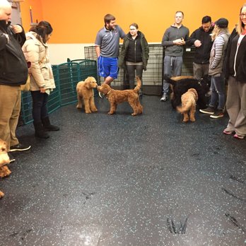 Dogtopia - Pet Sitting Near Me - La Vista, Nebraska