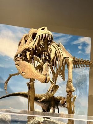 Natural History Museum of Utah by null