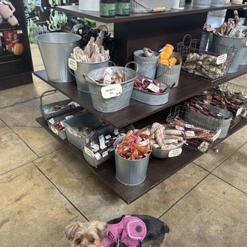 K9 Loft - Treats - Pet Groomers Near Me - Pasadena, California