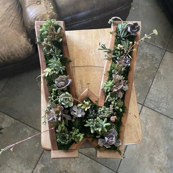Kileen's Succulent Vertical Gardens  - My purchase. - Art Classes Near Me - Clovis, California