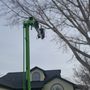 Photo of CS Tree Service