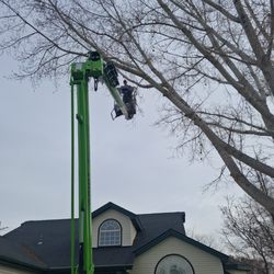 CS Tree Service