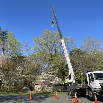 Nigel Wood Tree Service LLC - Tree Services Near Me - Earlysville, Virginia Nigel Wood Tree Service LLC - Tree Services Near Me - Earlysville, Virginia