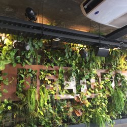 Amazing green wall