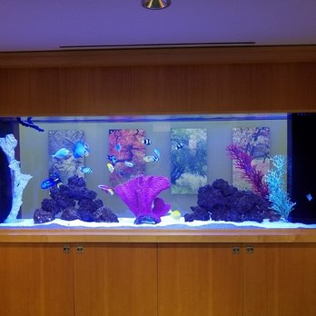 Aquarium Network - Custom See-Through Saltwater Aquarium in a Hospital - Aquarium Services Near Me - Bellmore, New York