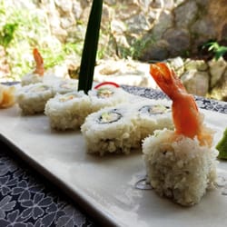 Shogun