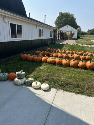 Big Red Orchard by null