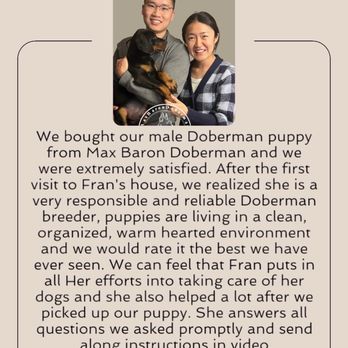 Max Baron Dobermans - Pet Breeders Near Me