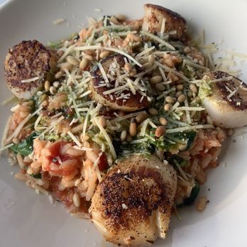 Sunset Grille - Scallops - New American Near Me - Hilton Head Island, South Carolina Sunset Grille - Scallops - New American Near Me - Hilton Head Island, South Carolina