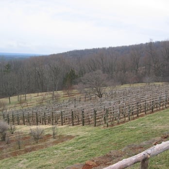 Thomas Jefferson's Monticello - Landmarks & Historical Buildings Near Me - Charlottesville, Virginia