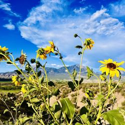 The Storm Cellar - Views