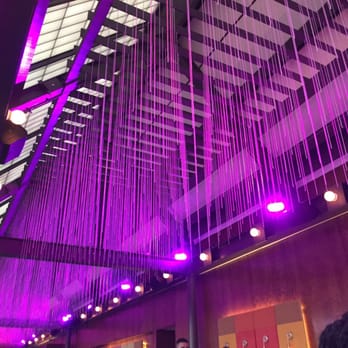 Sofrito New York - Their ceiling. - Latin American Near Me - New York, New York