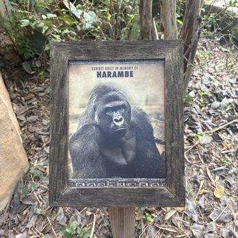 Gladys Porter Zoo - Tits Out - Zoos Near Me - Brownsville, Texas