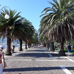 Porto Mirabello - Porto Mirabello La Spezia