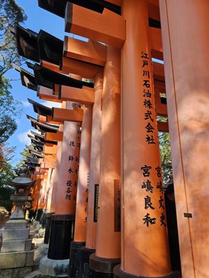 Senbon Torii (Thousand Torii Gates) by null