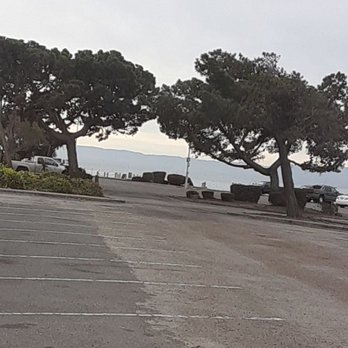 Carrillo Tree Services - Tree Services Near Me