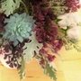 Photo of Thistle and Bone