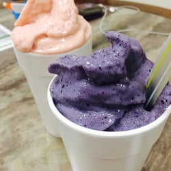 Focus On Nutrition - Fruit Explosion and Blueberry Cheesecake