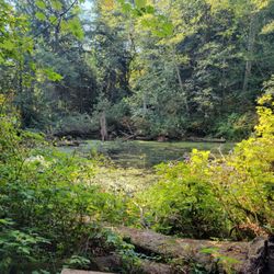 Deering Wild Flower Acres - Pond overlook bench- nice view!