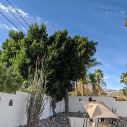 ArborPro