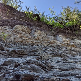 Ladonia Fossil Park - You can dig and get as serious and dirty as you like - Parks Near Me - Ladonia, Texas Ladonia Fossil Park - You can dig and get as serious and dirty as you like - Parks Near Me - Ladonia, Texas