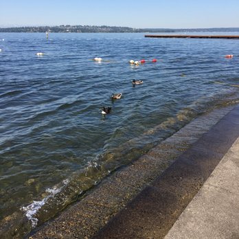 Doris Cooper Houghton Beach Park - Beaches Near Me - Kirkland, Washington