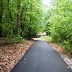 A stroll along the trail on a June morning. I bet it is pretty in the fall too.