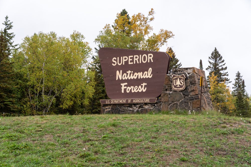 Let's Plant Trees - social services organization in Lutsen, MN