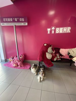 STEAP Tea Bar by null