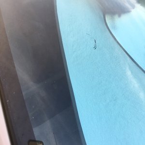 Hayward Daily Review on Yelp