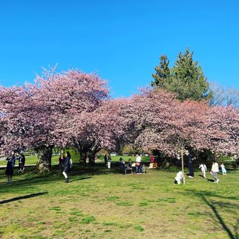 Queen Elizabeth Park - Parks Near Me - Vancouver, British Columbia
