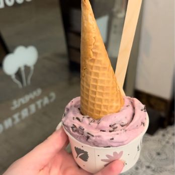 FoMu - Black Raspberry Chunk - Ice Cream & Frozen Yogurt Near Me - Boston, Massachusetts