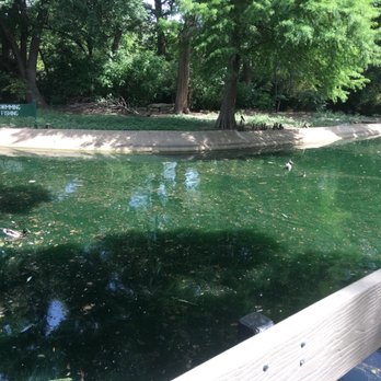 Trinity Park Duck Pond - Parks Near Me - Fort Worth, Texas Trinity Park Duck Pond - Parks Near Me - Fort Worth, Texas