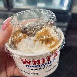 Whit's Frozen Custard - Doggie sundae