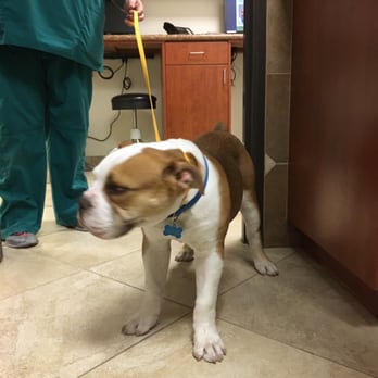 Paw Palace - I regret taking my dog here!! - Pet Groomers Near Me - Henderson, Nevada