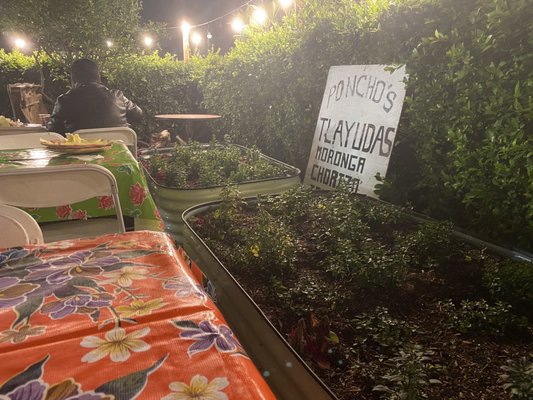 Lugya'h by Ponchos Tlayudas by null