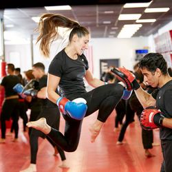 Tiger Schulmann's Martial Arts - Syosset