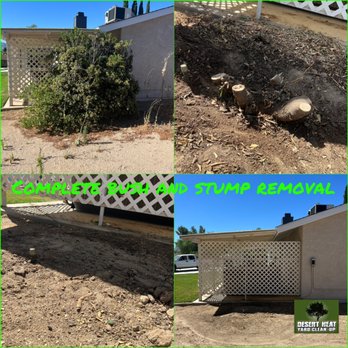 Desert Heat Yard Clean Up - Tree Services Near Me Desert Heat Yard Clean Up - Tree Services Near Me