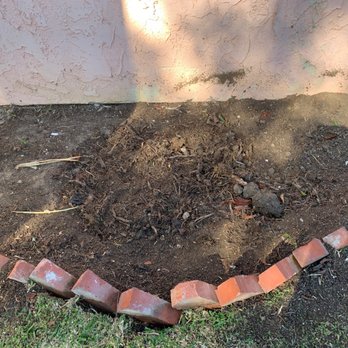 Valley Green Tree Services - Stump removal. (Notice how they kindly replaced the pavers afterwards. They even removed another free of charge when they noticed it). - Tree Services Near Me Valley Green Tree Services - Stump removal. (Notice how they kindly replaced the pavers afterwards. They even removed another free of charge when they noticed it). - Tree Services Near Me