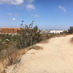 Used to be nice views from here of the coast, way back when. Can't stop progress I guess.