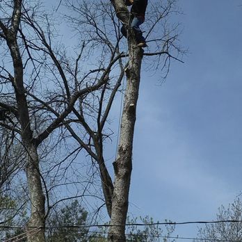 Nieto Landscaping and Tree Services - Nieto Landscaping and Tree Services - Landscaping Near Me - Kenosha, Wisconsin Nieto Landscaping and Tree Services - Nieto Landscaping and Tree Services - Landscaping Near Me - Kenosha, Wisconsin