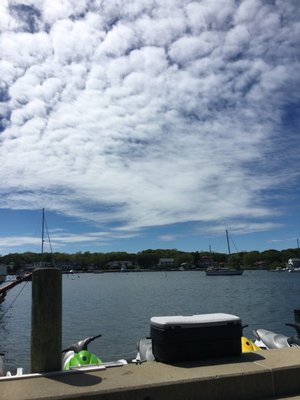 Fishbones Bar & Grille by null