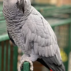 Video & Audio Repair Center - Hedwig