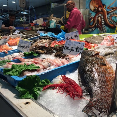 La Medusa 73 by null