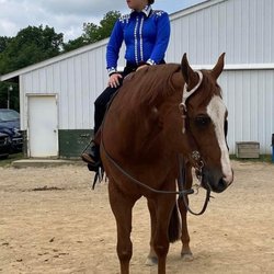 Northfork Farms & Outback