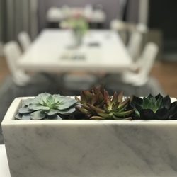 Come in and pick up one of our marble planters!