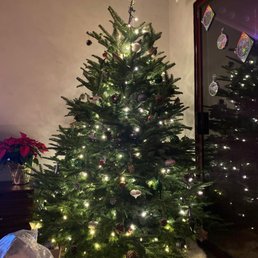Our beautiful tree from Marks! Our beautiful tree from Marks!